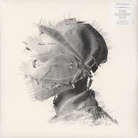 The Golden Age- Woodkid