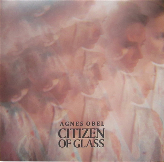 Citizen Of Glass- Agnes Obel