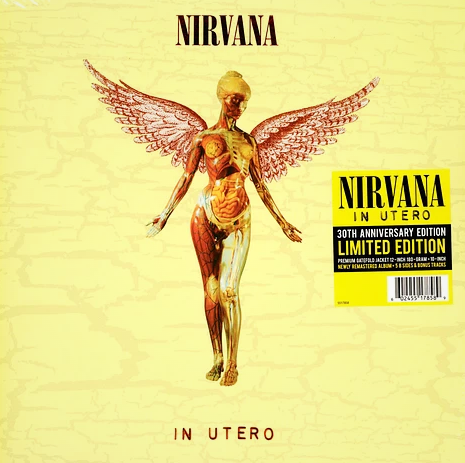 In Utero 30. Yıl Limited Edition (orjinal Albüm ve Bonus Parçalar) - Nirvana